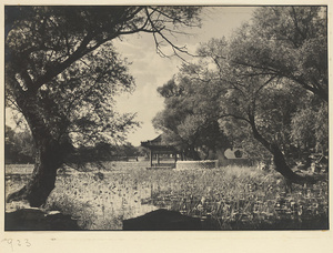 Nanhai Lake, pavilion, and Bin zhu shi with ornamental window