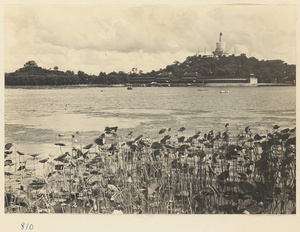 View over Beihai Lake showing Jingshan Gong Yuan (left) and Qiong Island (right) with Bai ta at summit and Yu lang along the north shore