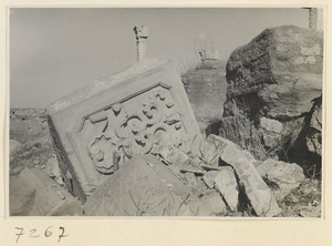 Marble block with a relief panel amidst the ruins at Yuan Ming Yuan