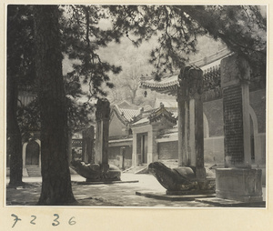 Courtyard with stelae and tortoise stelae at Jie tai si