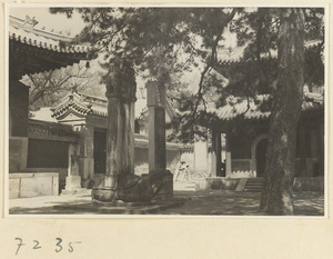 Courtyard with stelae and tortoise stela at Jie tai si
