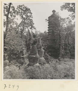Close-eaved and stupa-style pagodas at Jie tai si