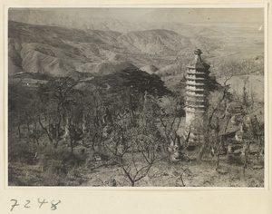 Close-eaved and stupa-style pagodas at Jie tai si and view of surrounding hills