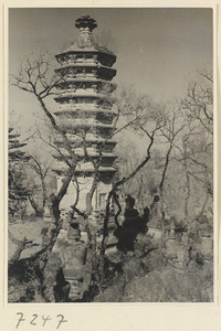 Close-eaved and stupa-style pagodas at Jie tai si