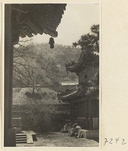 Details of temple buildings at Jie tai si showing bells hanging from eaves