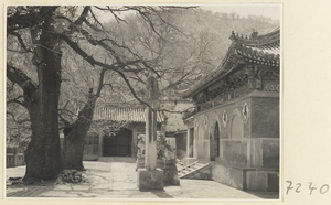 Facade detail of a temple building at Jie tai si showing entrance with inscriptions, a pair of stone lions, and a stone stela