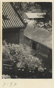 Detail of temple roofs at Jie tai si