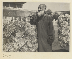 Vender selling artificial flowers