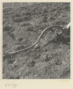 Plough in a field