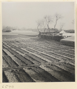 Planted fields and farm buildings