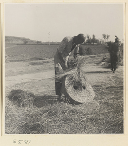 Man threshing grain against a stone