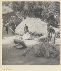 Workers threshing grain on stones