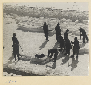 Ice-cutters attaching ropes to blocks of ice for hauling