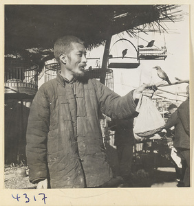 Man holding a tethered bird on his hand at bird vendor's stall at Longfusi Market