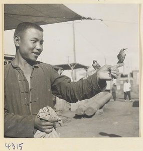 Boy holding two tethered birds on his hand at a bird market