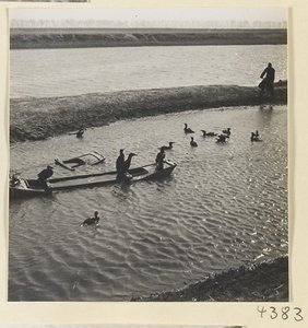 Fisherman on a sand bar with swamped boats and cormorants