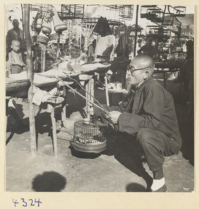 Man holding a bird cage and two birds tethered to sticks at a bird market