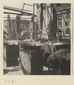 Street doctor's stand showing medicines and stuffed animal