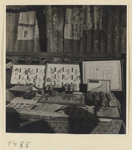 Street doctor's stand showing snake, medicines, and posters picturing ailments