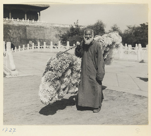 Man hawking paper flowers