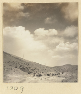 Donkeys carrying supplies on a road near the Yun'gang Caves