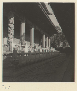 Detail of Da cheng dian at the Kong miao showing marble balustrade, dragon column, and octagonal columns