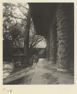 Detail of Da cheng dian at the Kong miao showing stairs and porch with carved dragon columns