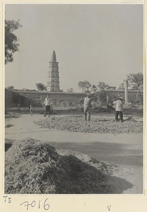 People drying grain in Qufu with Xing long si ta in background