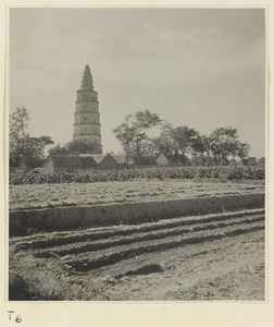 Fields and houses in Qufu with Xing long si ta in background