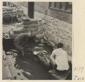 Village men washing vegetables in the river at Ji'nan