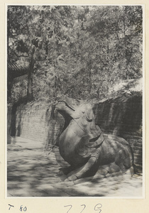 Figure of a winged stone draft animal on the Yong Lu leading to Xiang dian at the Kong miao in Qufu