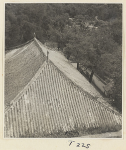 Temple roof at Ling yan si