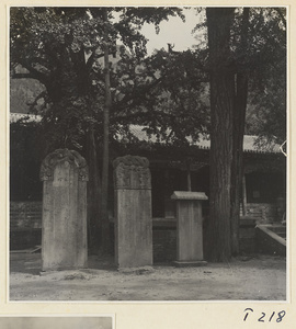 Stone stelae at Ling yan si