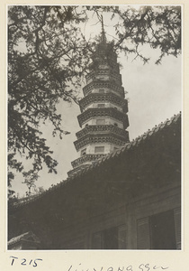 Pi zhi Pagoda at Ling yan si