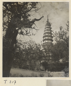 Pi zhi Pagoda at Ling yan si