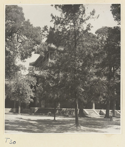 Kui wen ge and courtyard with trees at the Kong miao in Qufu