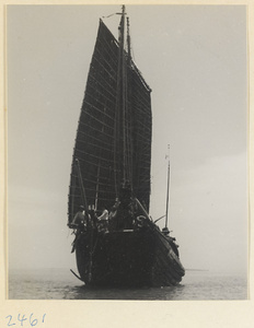 Fishing junk under sail on the Shandong coast