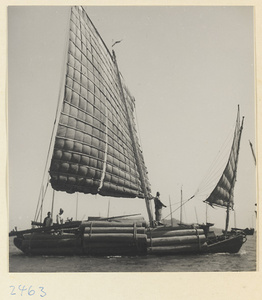 Fishing junk under sail on the Shandong coast