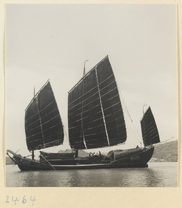 Fishing junk under sail on the Shandong coast