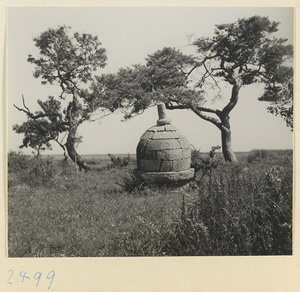 Stone tomb on the Shandong coast