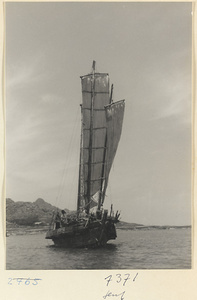 Fishing junk under sail on the Shandong coast