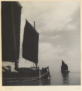 Junks sailing on the Shandong coast