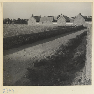 Village lane, fields, and stone houses on the Shandong coast