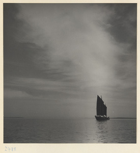 Fishing junk under sail on the Shandong coast