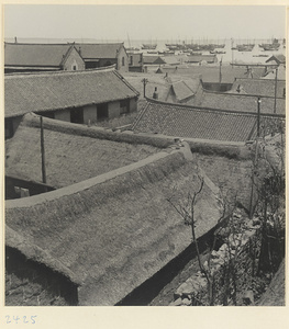 Fishing village on the Shandong coast