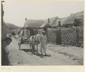 Man walking with a horse and cart in a village on the Shandong coast