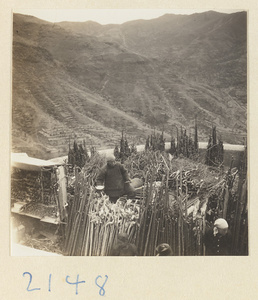 Men selling peach-wood walking sticks beside the pilgrimage trail on Miaofeng Mountain