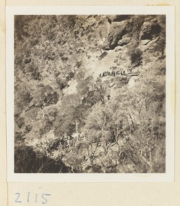 Pilgrims ascending Miaofeng Mountain