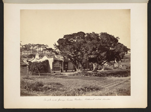 Temple and foreign houses, Foochow. Settlement called Nantai