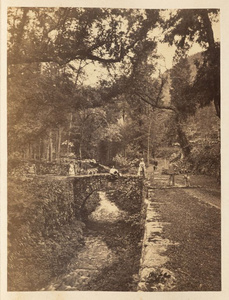 Grounds of temple of Chin-o-za, Ningpo